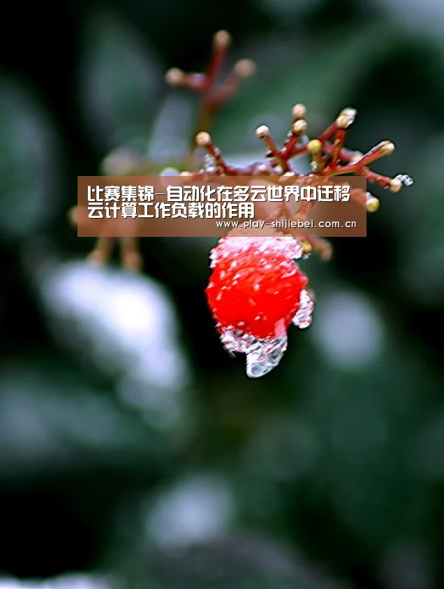 比赛集锦-自动化在多云世界中迁移云计算工作负载的作用(图4) 世界杯