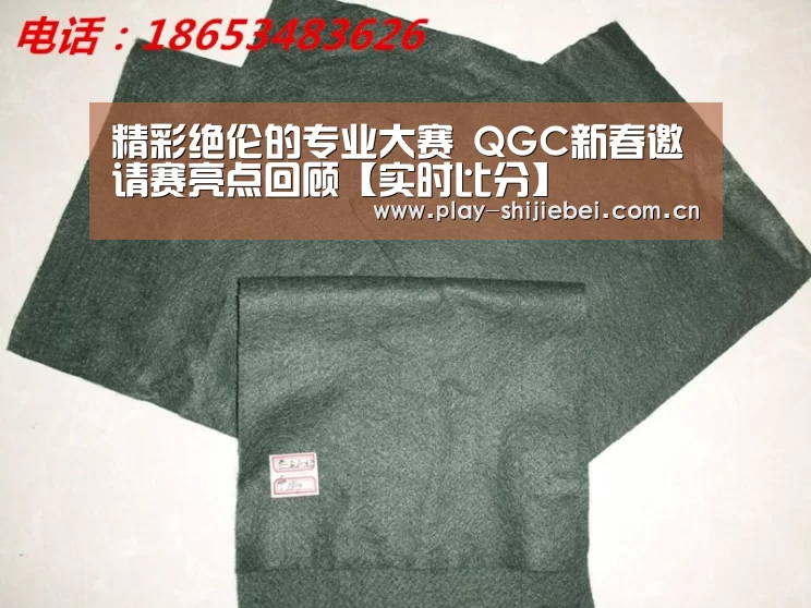 精彩绝伦的专业大赛 QGC新春邀请赛亮点回顾【实时比分】(图3) 世界杯直播