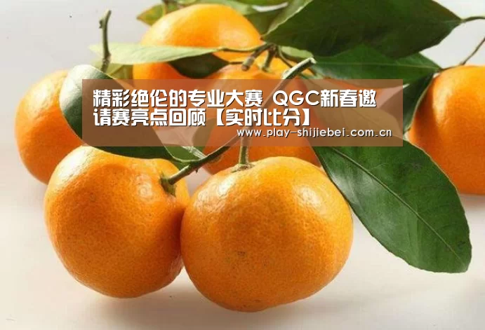 精彩绝伦的专业大赛 QGC新春邀请赛亮点回顾【实时比分】(图2) 世界杯