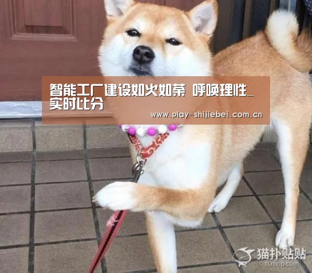 智能工厂建设如火如荼 呼唤理性_实时比分