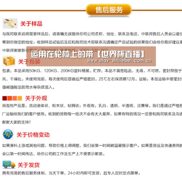 运用在轮椅上的带【世界杯直播】(图1) 世界杯直播
