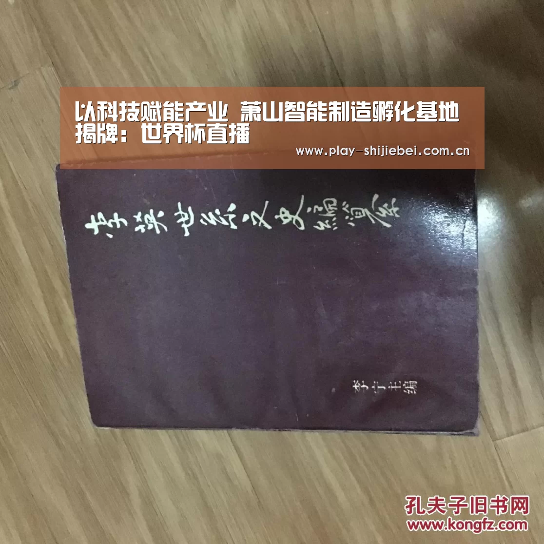 以科技赋能产业 萧山智能制造孵化基地揭牌:世界杯直播(图4) 世界杯直播